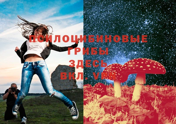 гашиш Арсеньев